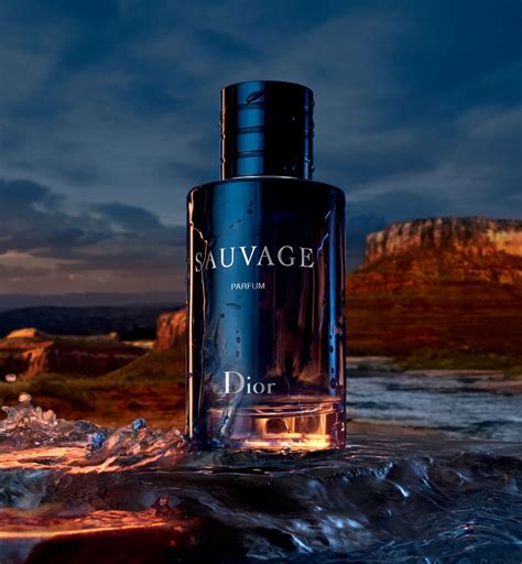 dior saucage|dior sauvage website.